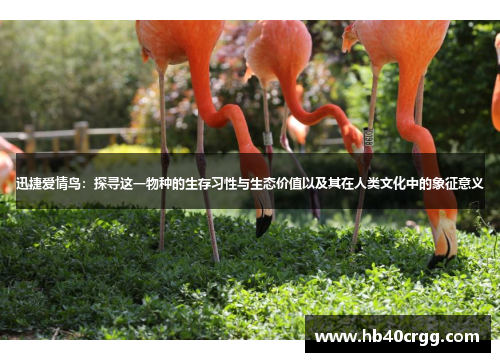 迅捷爱情鸟：探寻这一物种的生存习性与生态价值以及其在人类文化中的象征意义